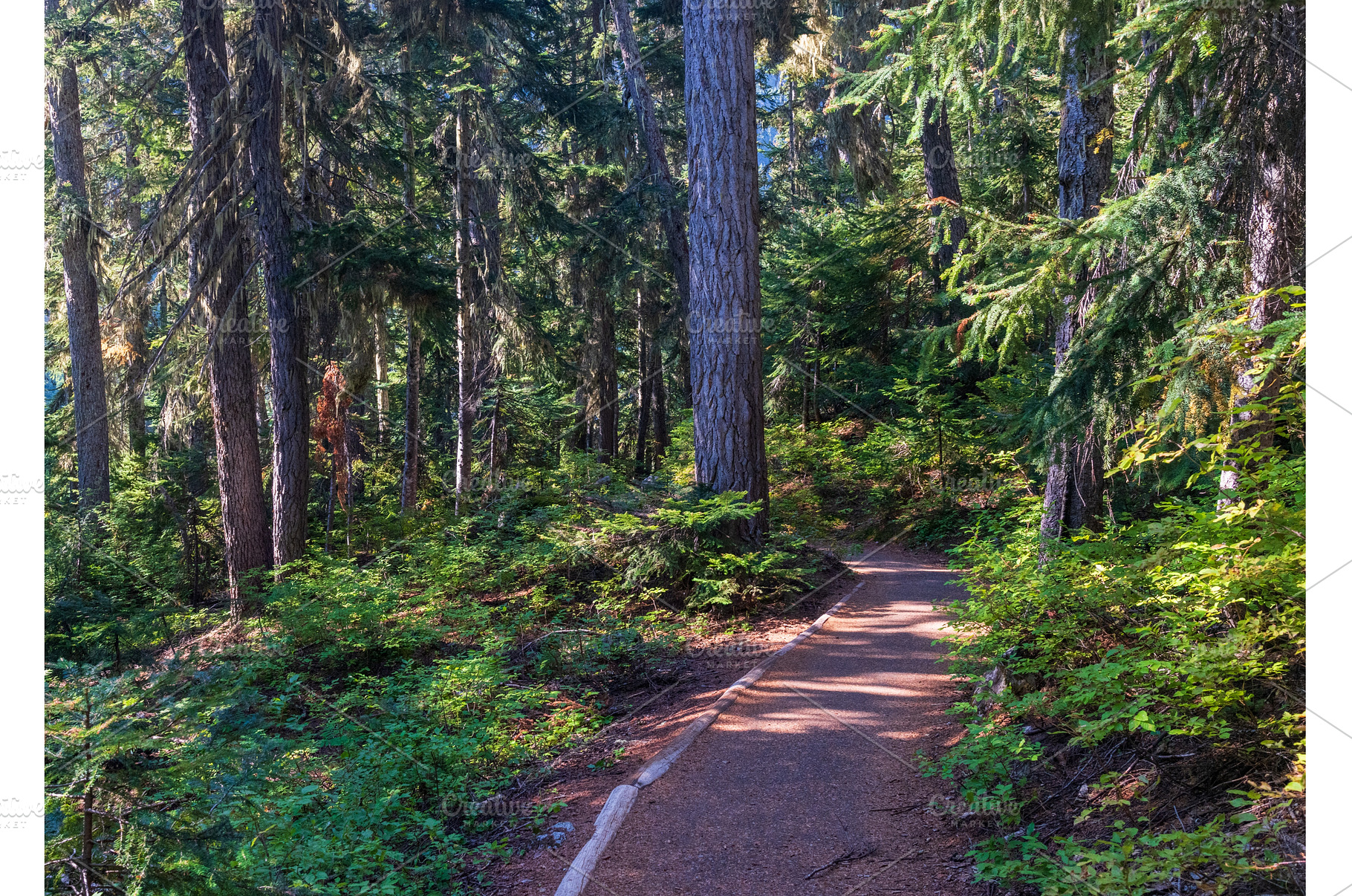 Paved trail to Rainy Lake in North, a Sports & Recreation Photo by Backyard Stock