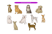 Hand Drawn Dog Breeds, an Animal Illustration by Creathub Studio (Thumbnail 1 of 3)