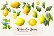 Watercolor Lemons, a Food Illustration by PeDe Designs (Thumbnail 3 of 4)