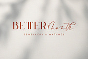 Le Jour - Font Script Serif Family, a Font by din-studio.com (Thumbnail 5 of 15)