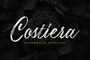 Costiera - Elegant Handbrush