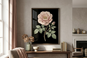 Vintage Rose Botanical Illustrations, a Decorative Illustration by youtoview (Thumbnail 2 of 20)