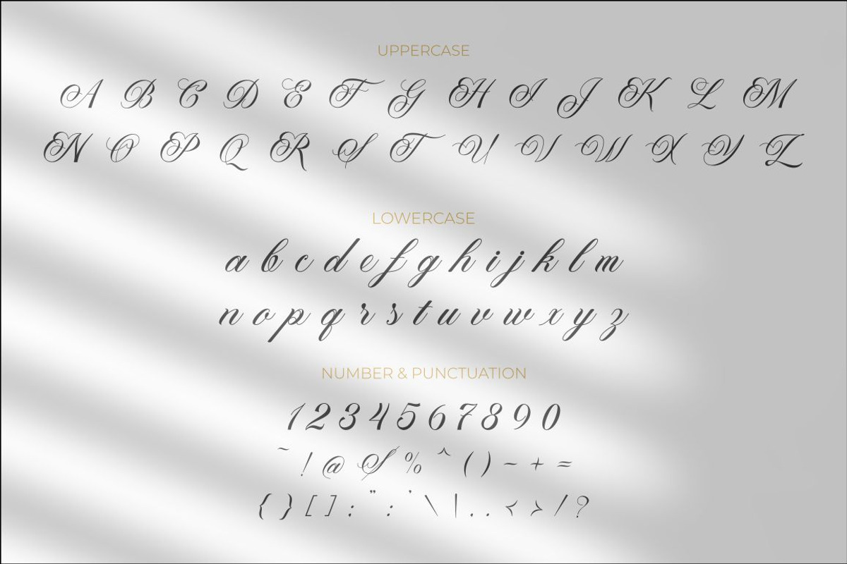Paperlight Script - Calligraphy Font, a Script Font by PutraCetol Studio (Photo 7 of 11)