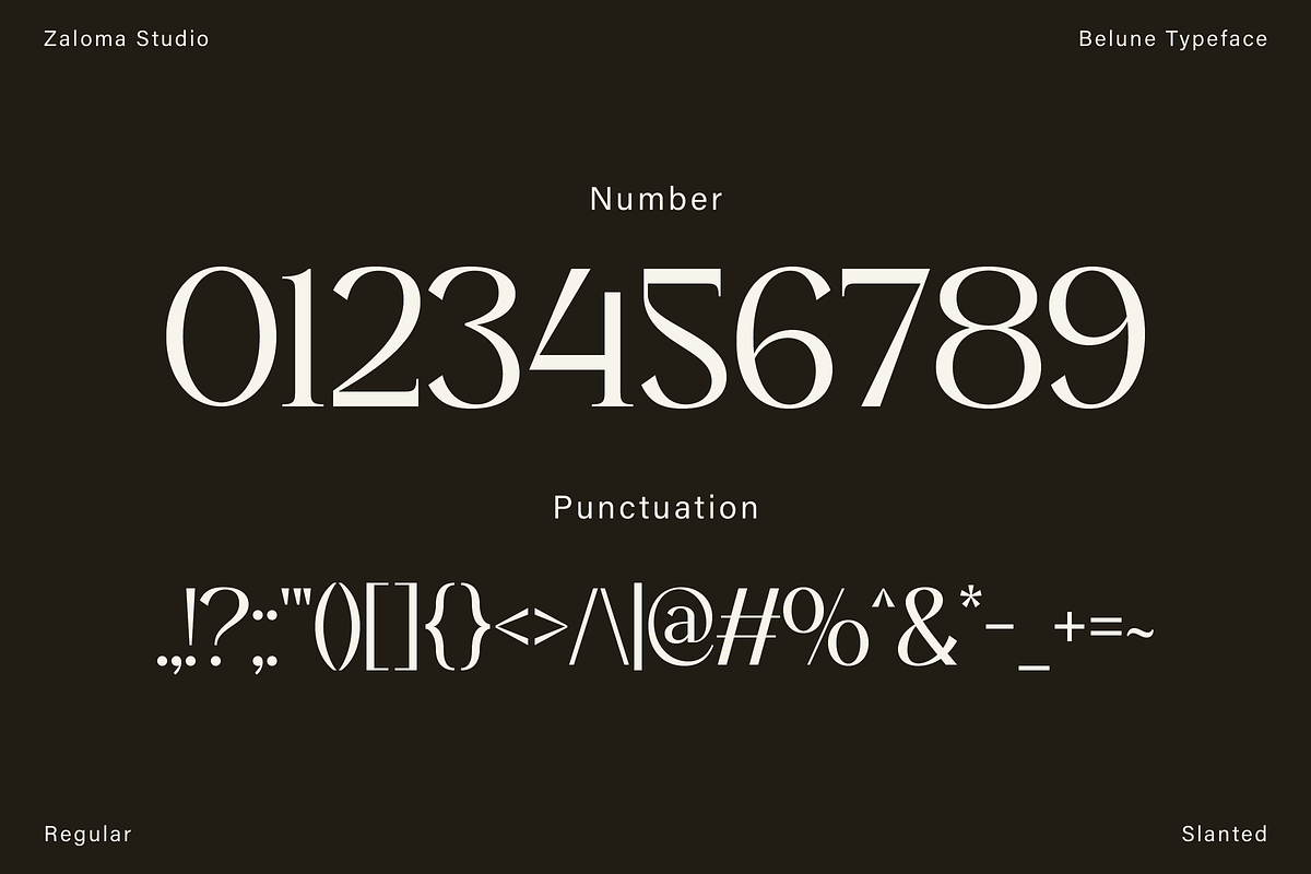 Belune, a Serif Font by Zaloma Studio (Photo 14 of 16)