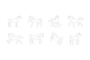 Arabian horses vector illustration, an Animal Illustration by Naurider (Thumbnail 2 of 3)