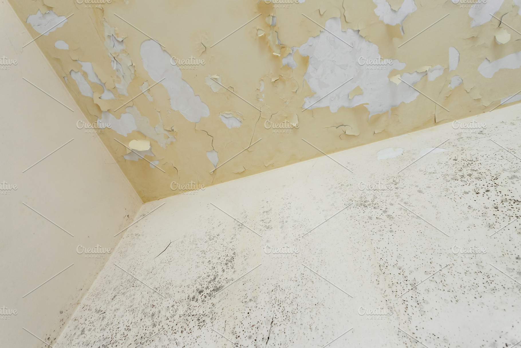 Moss and Mold spots on the ceiling, an Architecture Photo by KYNA STUDIO