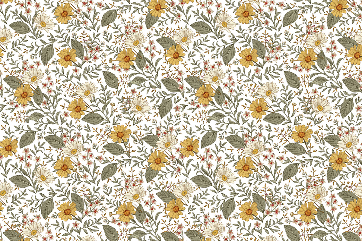 Set Seamless Flowers Chamomile daisy, a Pattern Graphic by Vintage (Photo 7 of 17)