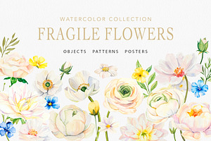 White Flowers watercolor collection