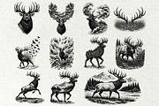 Elk Scenes SVG Graphics, an Animal Illustration by DENIDigitalArtSudio (Thumbnail 3 of 6)