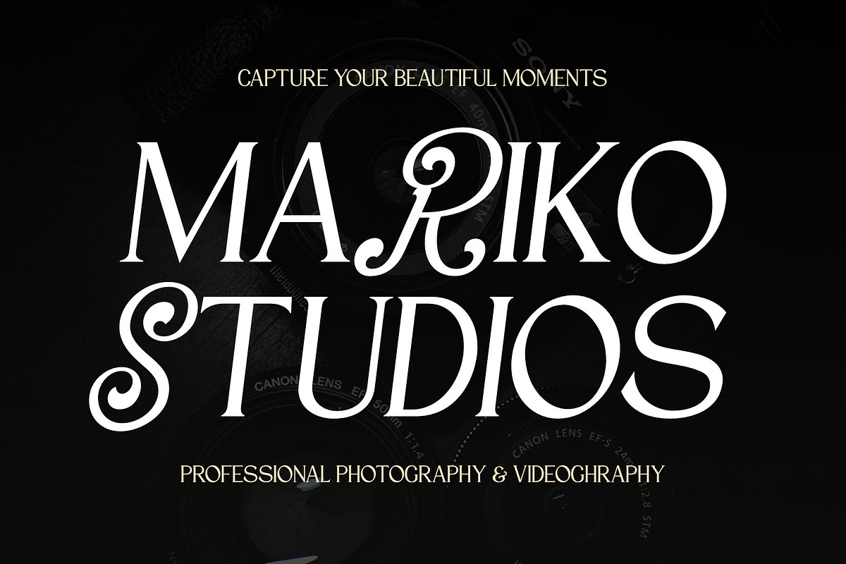 VT Salemore Longest Font Combination, a Serif Font by ViactionType (Photo 7 of 13)