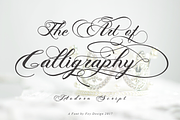 Photograph - Script Wedding Font, a Script Font by FHFont (Thumbnail 9 of 10)