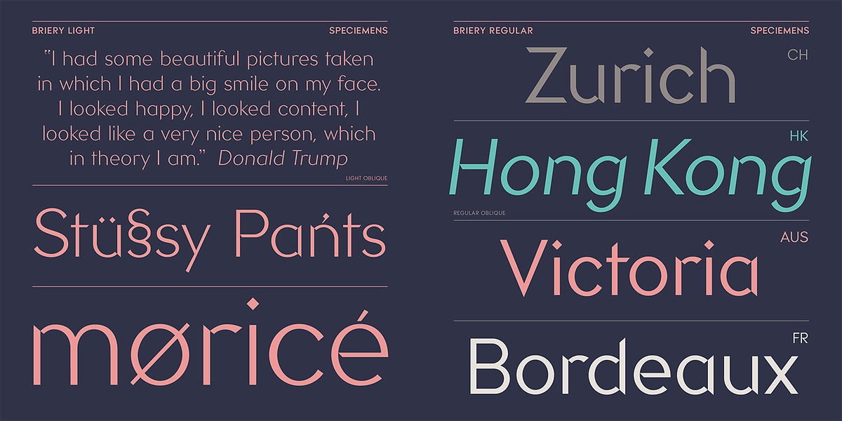 Briery, a Sans Serif Font by HeadFirst (Photo 7 of 18)