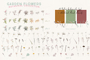 Garden Florals Botanical Set, an Illustration by White Lane Studio (Thumbnail 2 of 9)