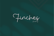 Gasing Monoline Script Font, a Script Font by Grontype (Thumbnail 4 of 7)