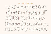 Romantic Serif - Elegant Classy Font, a Font by HansCo Studio (Thumbnail 12 of 15)