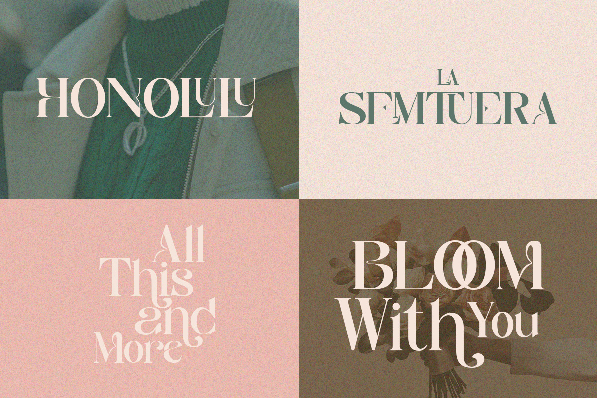 Monsieur Aegis - Modern Luxury Serif, a Serif Font by Qweera Studio (Photo 3 of 12)