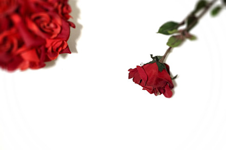 Simply Red: Bouquet & Rose Stock
