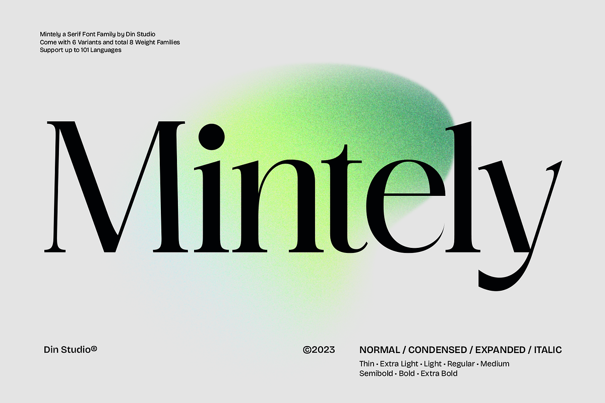 Mintely, a Serif Font by din-studio.com (Photo 1 of 12)