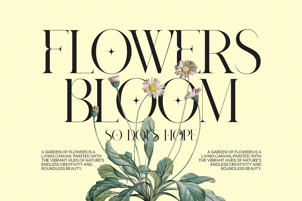 Mahaky Modern Serif Font By Perfectype preview 6