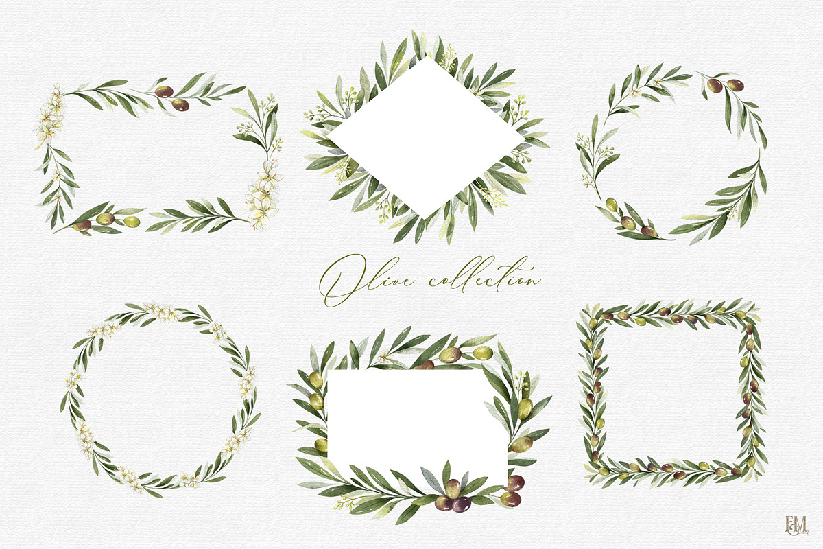 Olive watercolor collection, a Food Illustration by Elena Medvedeva