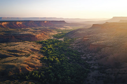 Canyon forest at dawn captures the s, a Photo by Iftikhar Alam