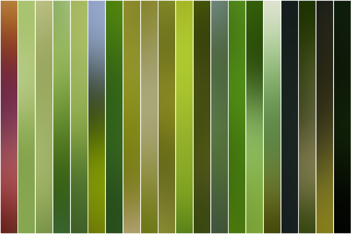 Nature Blurred Backgrounds, a Texture Graphic by Michal Chovanec (Photo 5 of 10)