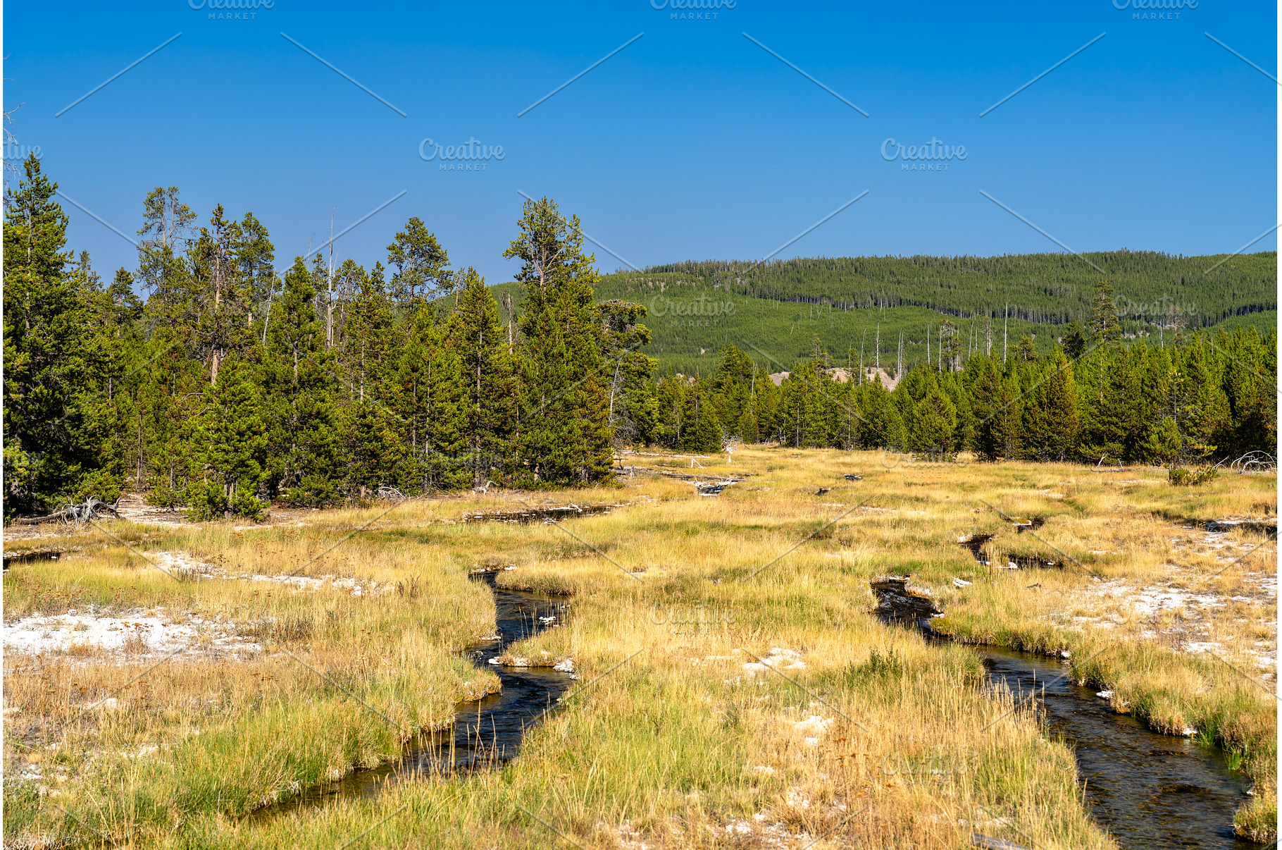 Rabbit Creek winding through a, a Nature Photo by Leonid Andronov