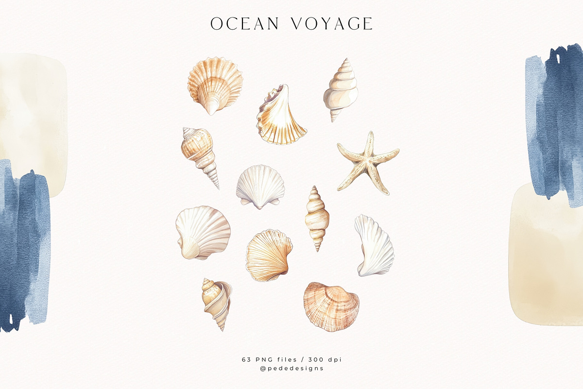 Ocean Voyage Collection, a Decorative Illustration by PeDe Designs (Photo 6 of 26)