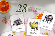 Asian animals activities, an Animal Illustration by ArtSpotVeronika (Thumbnail 2 of 7)