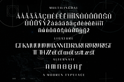Reconnect - A Modern Typeface, a Sans Serif Font by Meizzaluna Design (Thumbnail 5 of 10)