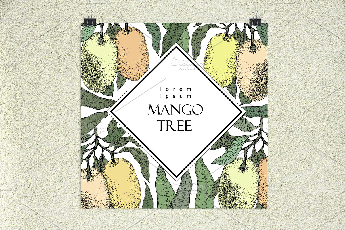 Мango Vector Collection, an Illustration by Lubov Illustrations Shop (Photo 5 of 7)