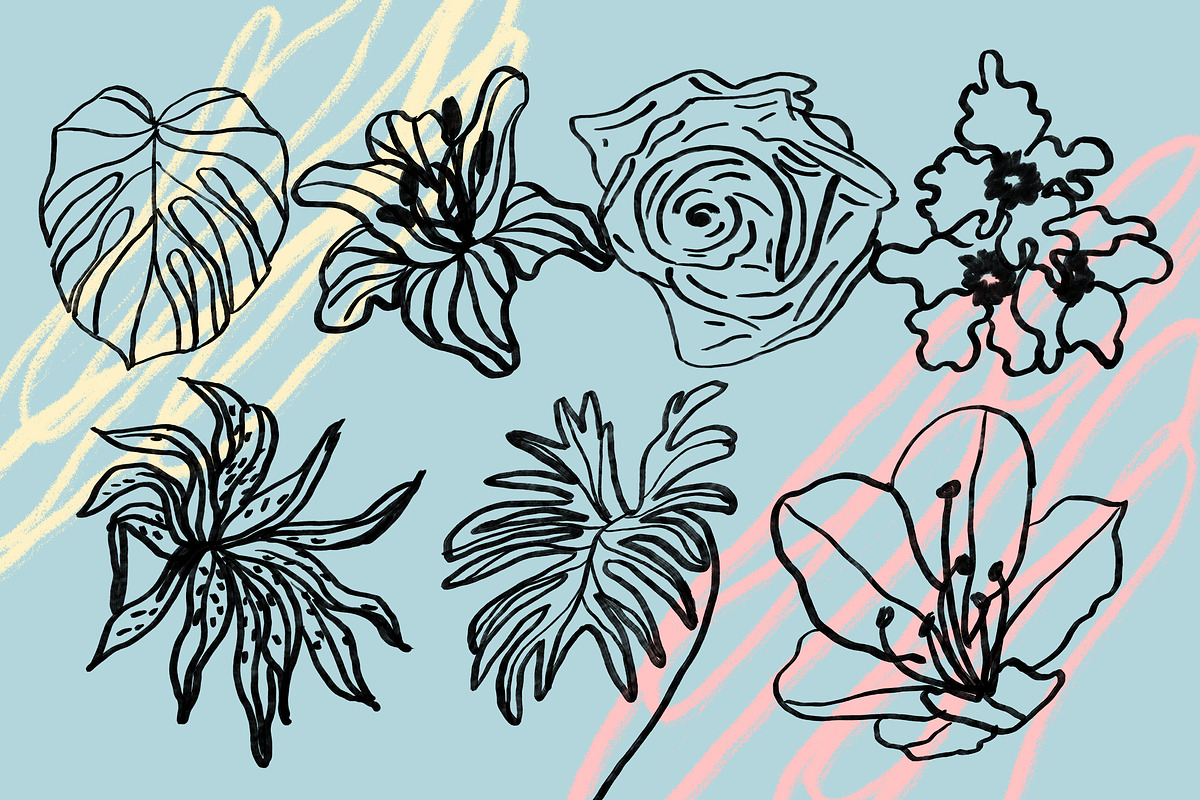 Flowers and Plants Minimalist Set, an Illustration by Anny (Photo 6 of 10)