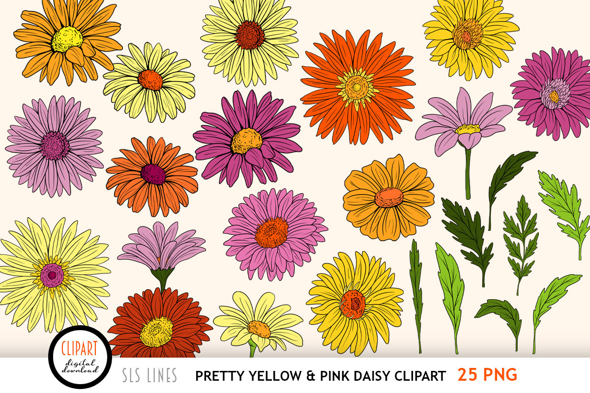 Retro Daisy Clipart, a Decorative Illustration by SLS Lines (Photo 3 of 5)