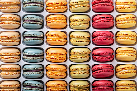 Colorful french macarons in a box, a Food & Drink Photo by farwasser
