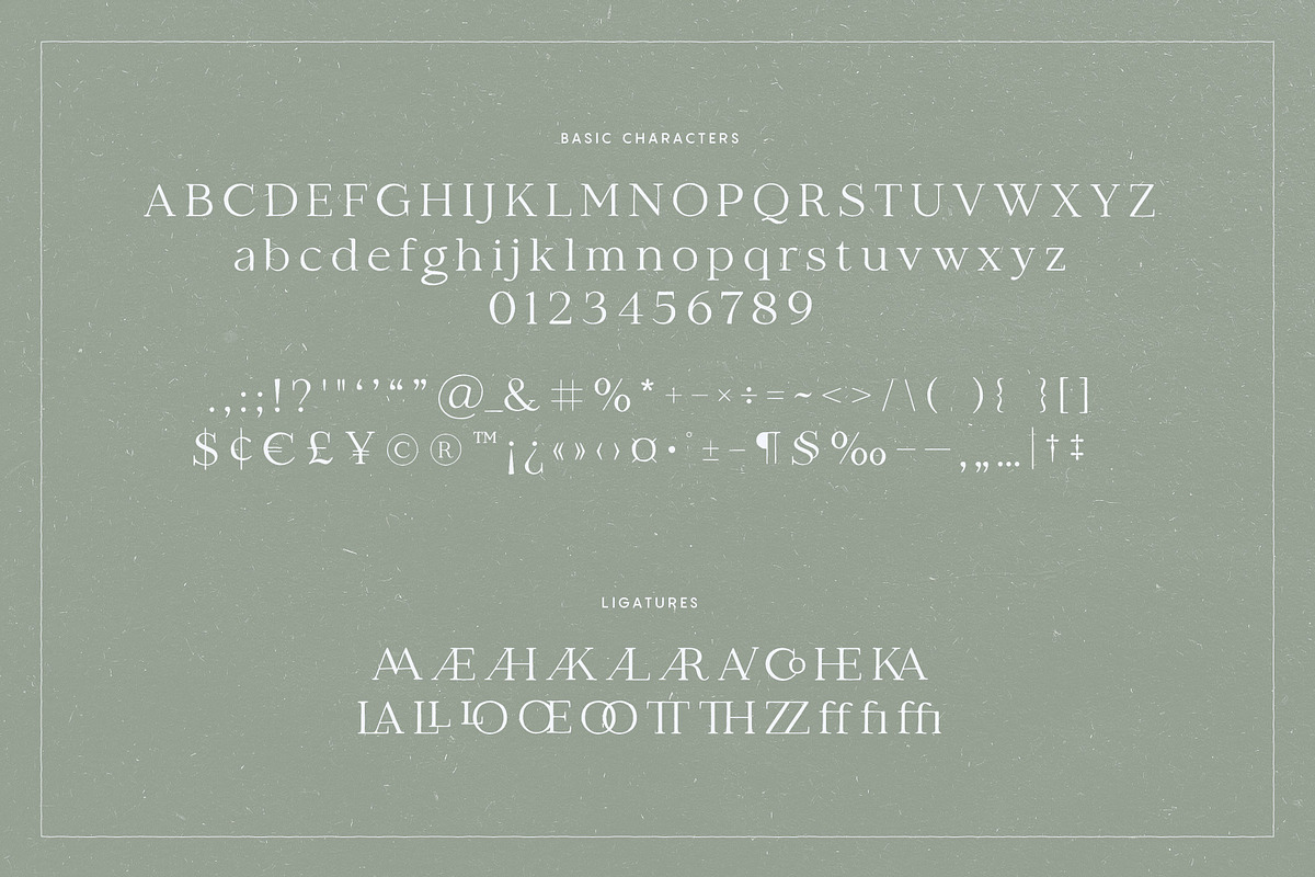 Leilani - Hand Drawn Elegant Serif, a Serif Font by Studio Aurora (Photo 3 of 9)