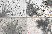 50 plants shadows, a Mockup by AnastasiyaOleynik (Thumbnail 4 of 14)