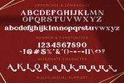 Rosemary - Elegant Serif Font, a Serif Font by StringLabs (Thumbnail 11 of 12)