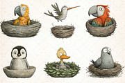 Quirky Funny Birds Clipart, an Illustration by DreamCafeArt (Thumbnail 6 of 8)