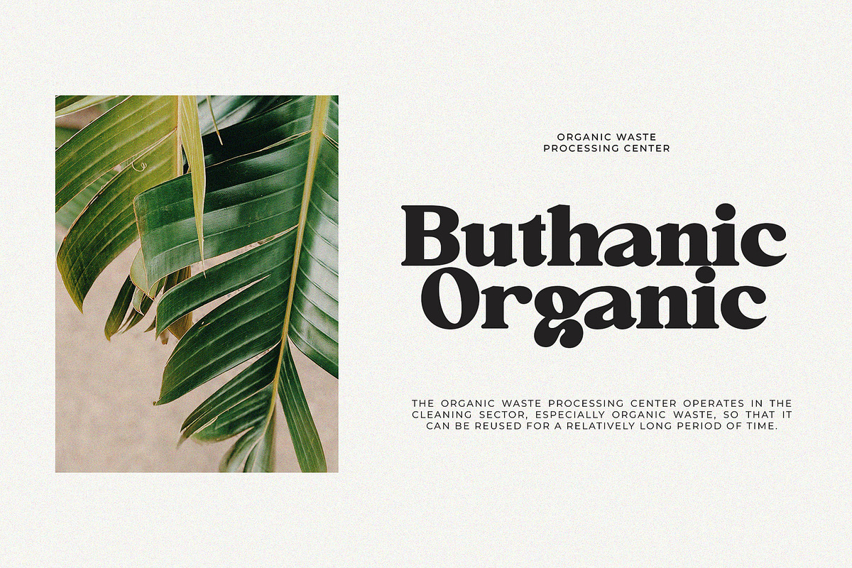 Ohaigo Serif Typeface, a Serif Font by Violet Natural (Photo 4 of 10)