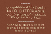 Asyadiga - Modern Serif Font, a Serif Font by Siwox Studios (Thumbnail 8 of 9)