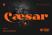 Glosta, a Serif Font by TRF Fonts (Thumbnail 16 of 18)