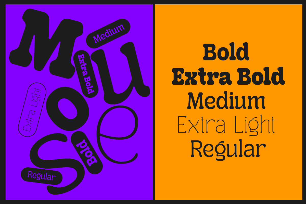 Mondwild - 7 Variable Modern Retro, a Serif Font by Dharmas Foundry (Photo 11 of 15)