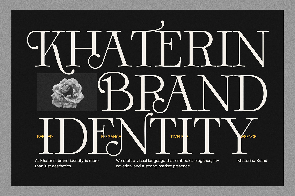 Monna Minimalist Serif Font, a Serif Font by Graphicxell (Photo 4 of 8)