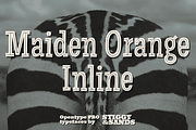Maiden Orange Inline Pro, a Slab Serif Font by Stiggy & Sands (Thumbnail 1 of 5)