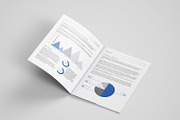 White paper template indesign, a Brochure Template by azadcsstune (Thumbnail 11 of 18)