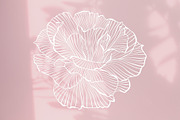 Whimsical Flowers Collection, a Decorative Illustration by ilonitta (Thumbnail 6 of 12)