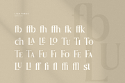 Journey – Aesthetic Serif Font, a Serif Font by Hamz Studio (Thumbnail 9 of 20)