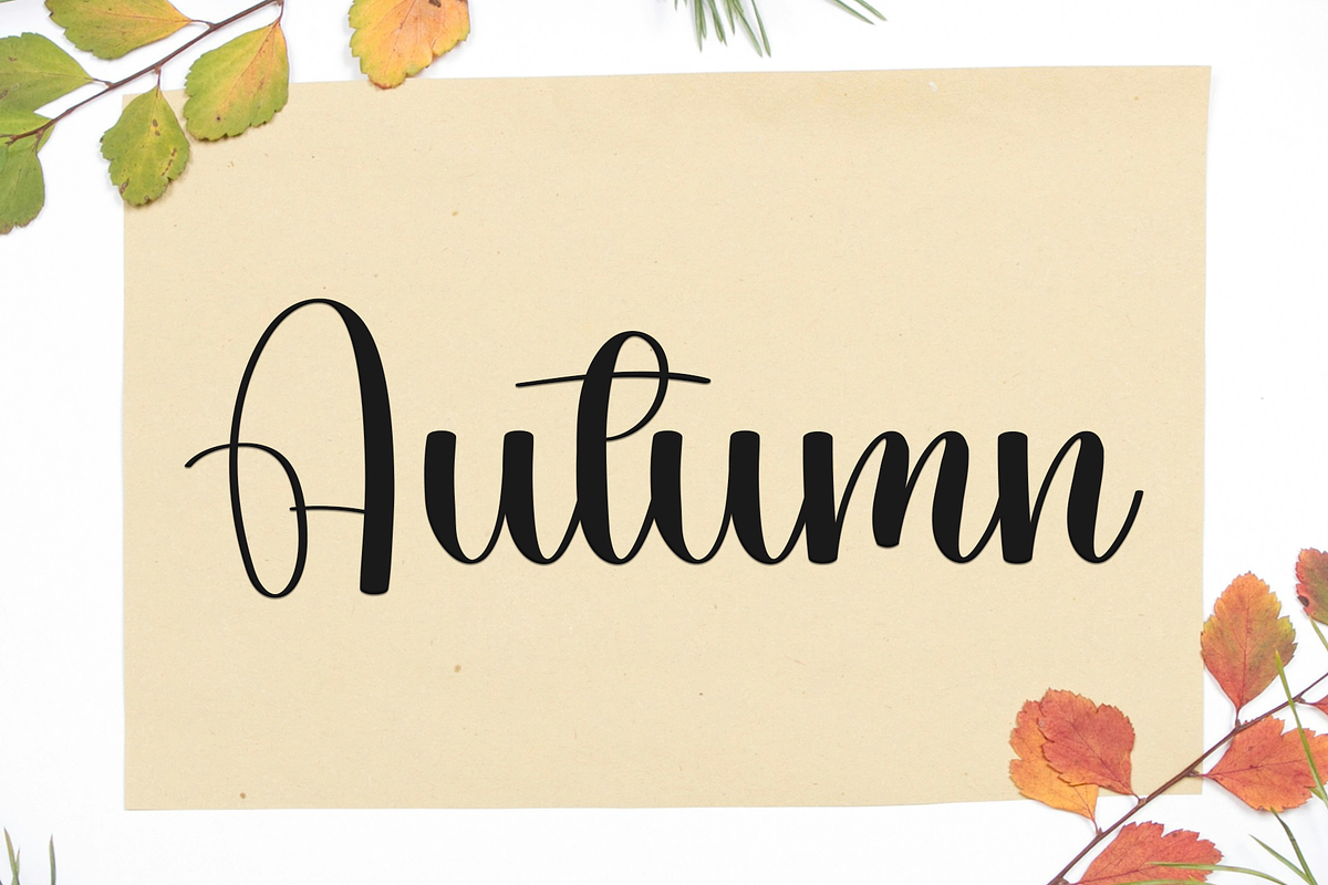 Cataline Signature, a Handwritten Font by FreshTypeINK (Photo 6 of 8)