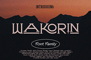 Wakorin – Serif Font Family, a Serif Font by NDNL Studio (Thumbnail 1 of 13)
