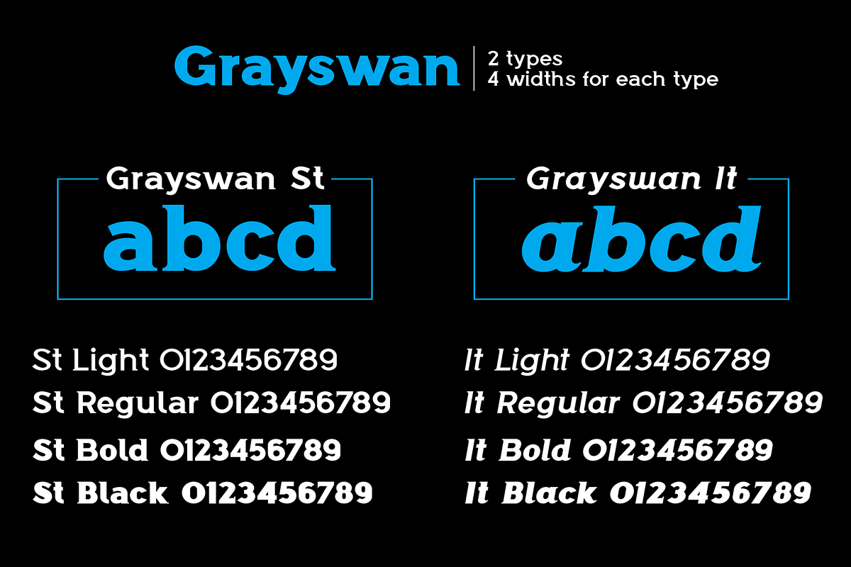 Grayswan font family, a Serif Font by vlad.berla (Photo 4 of 8)